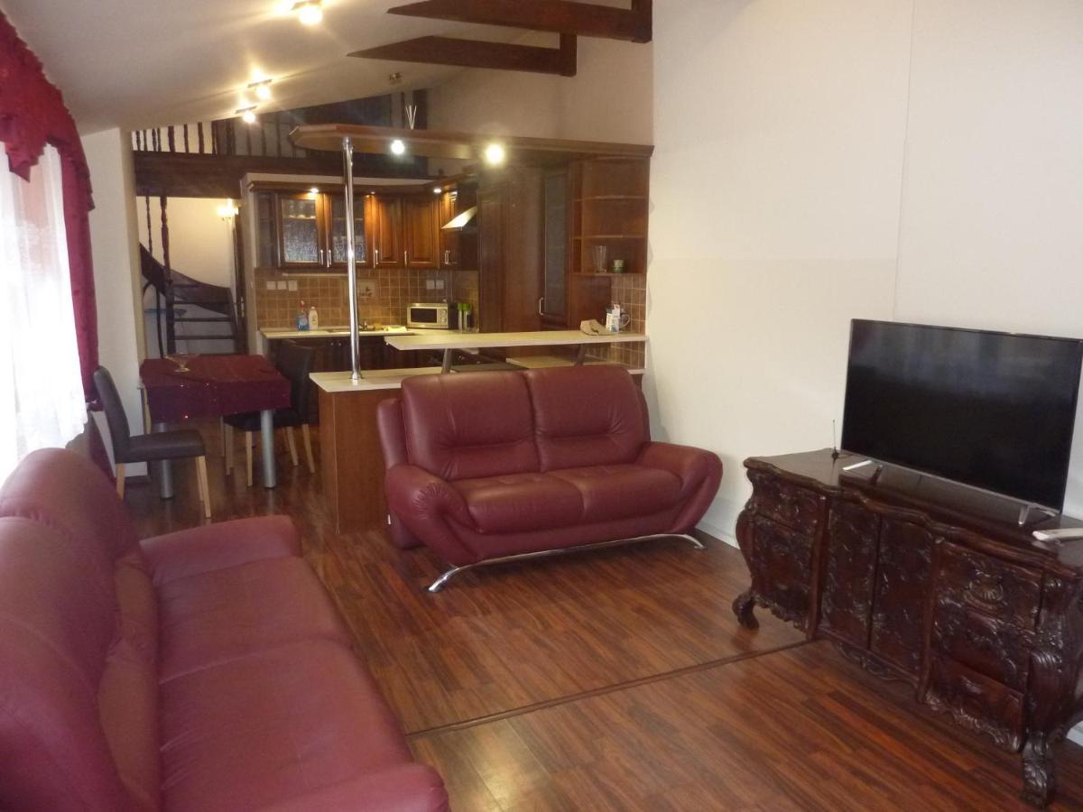 Luxury Large Apartment 21 科希策 外观 照片